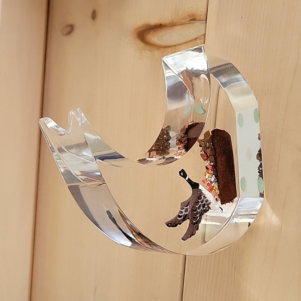 Canada Goose Lucite Art Decor